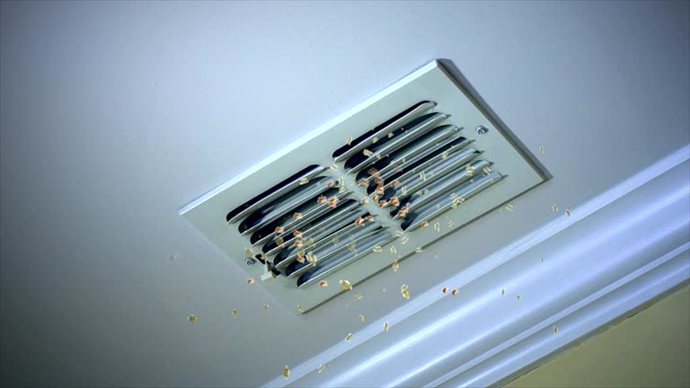 Best Ductwork Cleaning Services  in Zellwood, FL