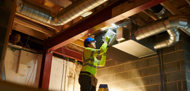 Best Professional Duct Cleaning Services  in Zellwood, FL
