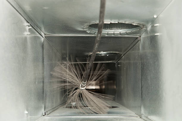 Best Affordable Air Duct Cleaning  in Zellwood, FL