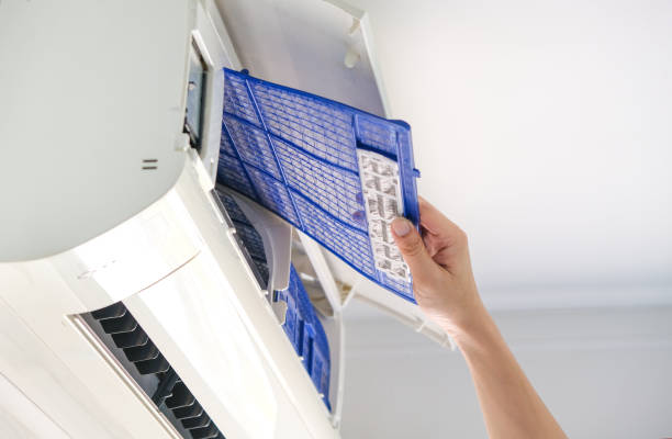 Best Commercial Air Duct Cleaning  in Zellwood, FL