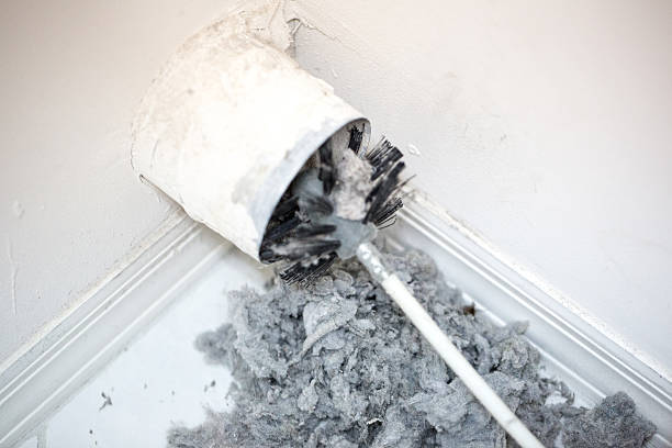 Best Home Air Vent Cleaning  in Zellwood, FL