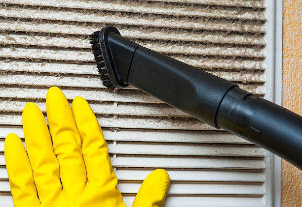 Best Home Air Vent Cleaning  in Zellwood, FL