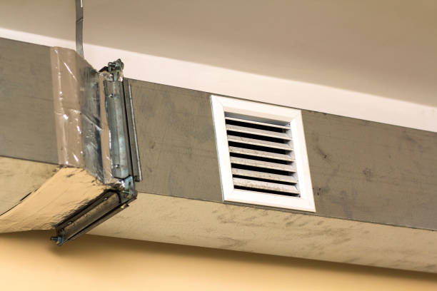 Best Air Duct Sanitizing Services  in Zellwood, FL