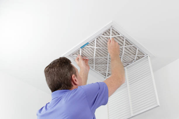 Best HVAC Duct Inspection Services  in Zellwood, FL